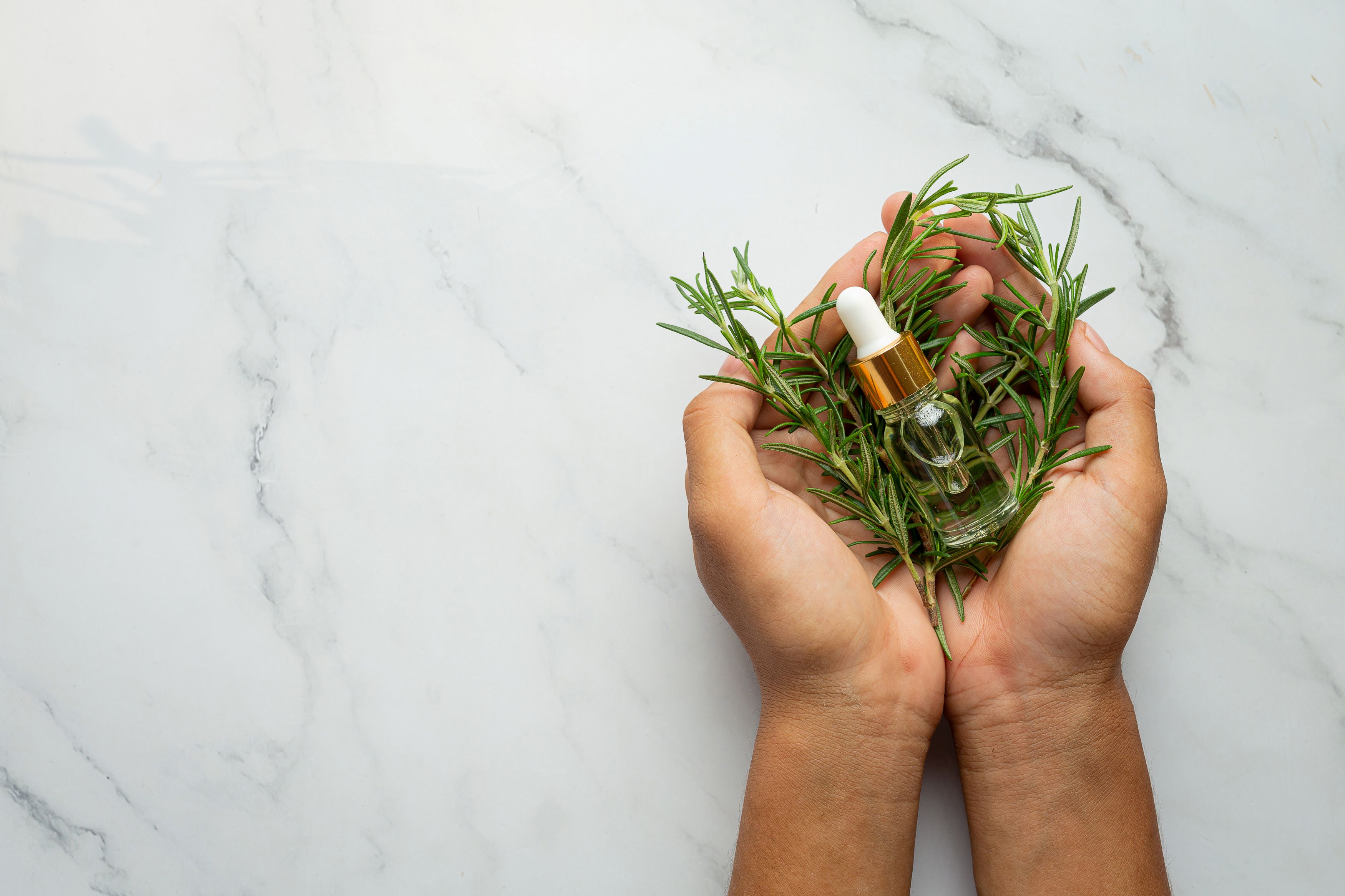hand holding rosemary fresh plant bottle rosemary oil